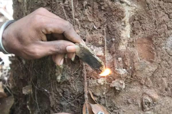 photo of Artifacts in Island Cave Push Back Arrival of Humans in the Pacific image