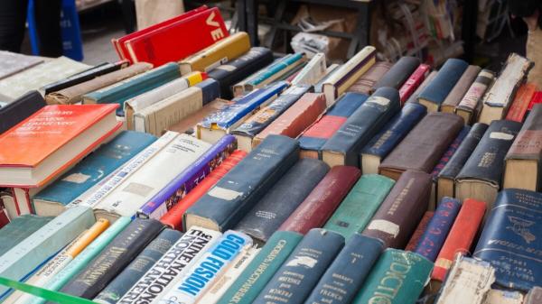 photo of Used Booksellers Are Racking Up Huge Sales. They’re Not Thrilled About the Likely Reason image