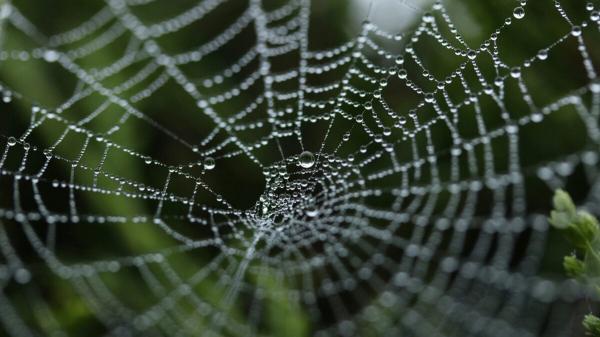photo of Why Did It Take So Long for the Web to Get Its Own Domain Name? image