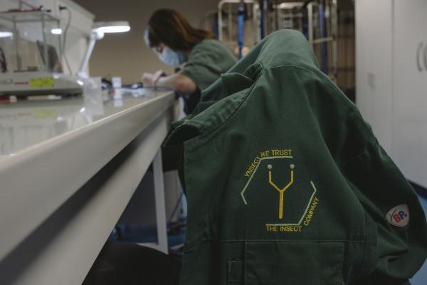 How reality crushed Ÿnsect, the French&hellip;