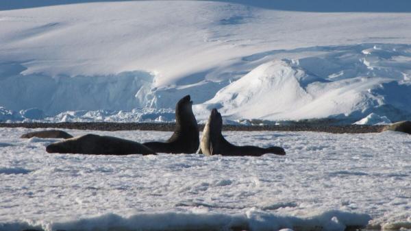 Worst-Case Climate Scenario Would&hellip;